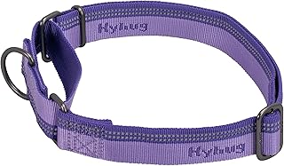 Hyhug Nylon Klassische Halsbänder ，Anti-Flucht Hundehalsband. 3M Reflektierender Streifen, Komfortabel Verstellbar, Sicherer Nachtspaziergang, Hunde-ID-Tag-Montageloch (Kleine, Paisley Lila) product image