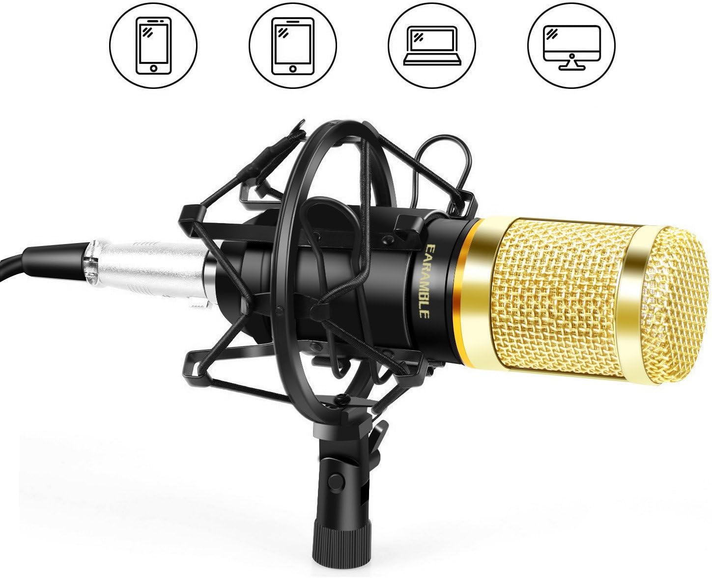 EARAMBLE Professional Studio Broadcasting Recording Condenser Microphone Recording Microphone with Shock Mount (Black)