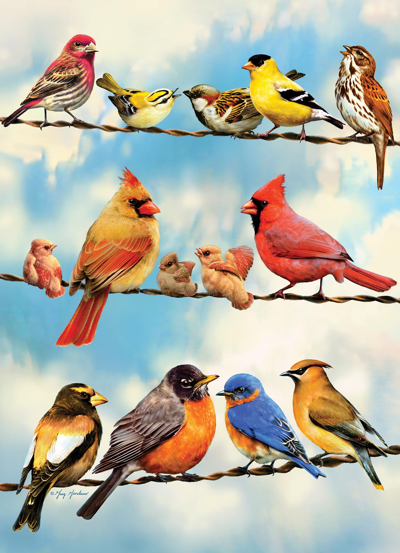 Cobble Hill 500 Piece Puzzle - Birds on a Wire - Sample Poster Included