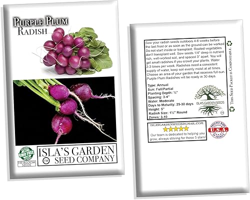 Miniatura 6 de Semillas de rábano morado para plantar, más de 150 semillas de reliquia por paquete, semillas de jardín de Isla (semillas de jardín de Isla),