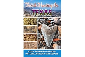 Bartun Fossil Hunting: Your Handbook for Texas Fossil Gathering