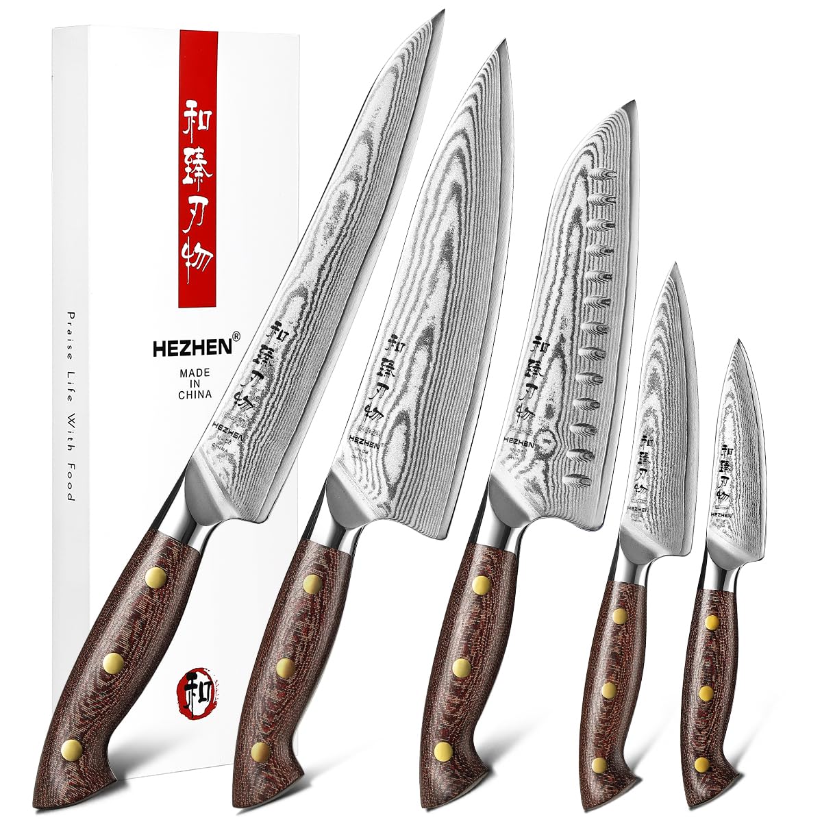 HEZHEN Damas Ensembles de Couteaux de Cuisine 5 Pièces，Set de Couteaux de Chef Professionnels en Acier Damas Couteau Santoku, Manche en Micarta