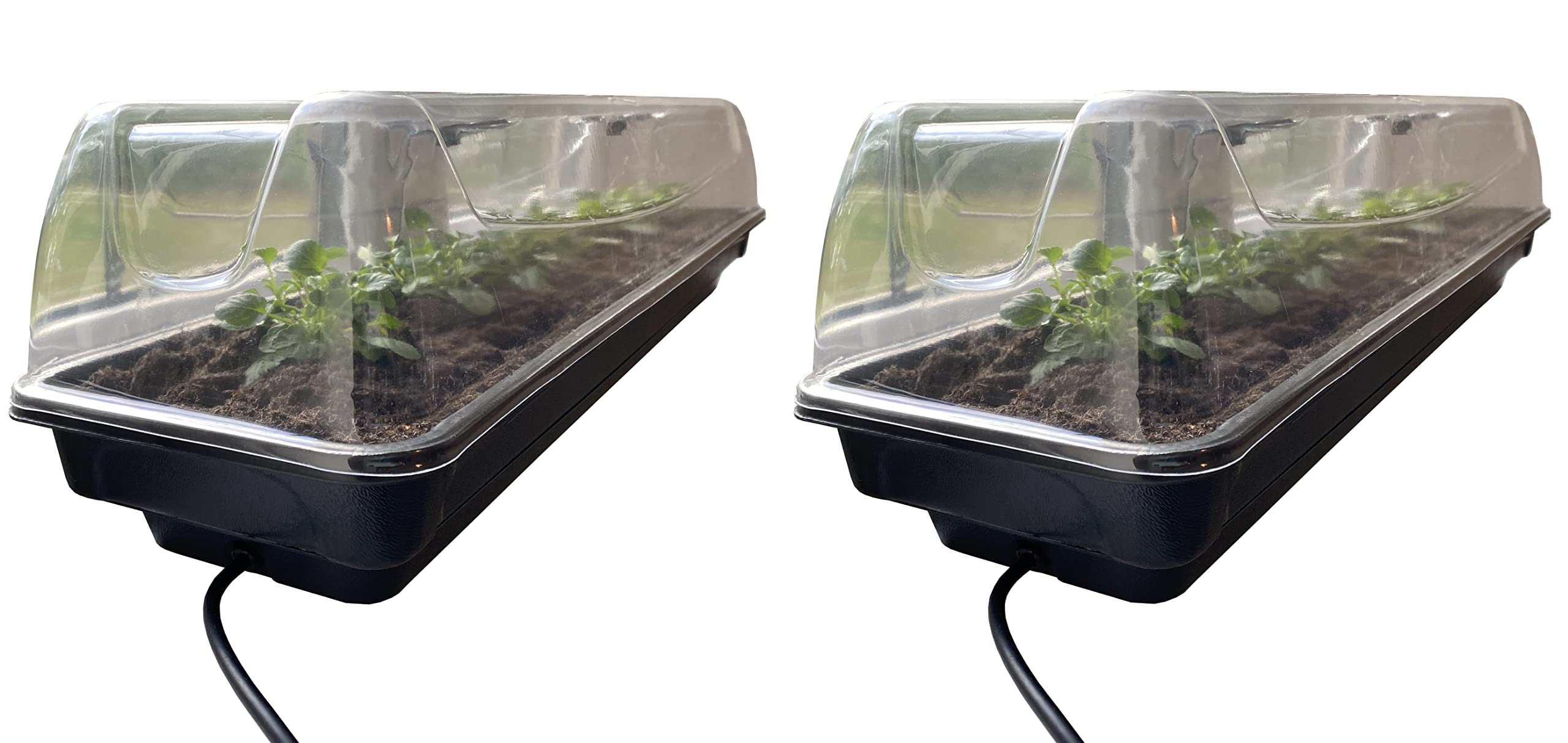 Selections Jumbo Electric Heated Windowsill Plant & Seed Propagators (80cm)- Pack of 2