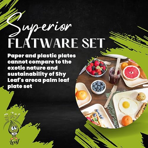 Miniatura 6 de Platos desechables de bambú (60 platos) + juego de cubiertos de madera de 120 piezas, platos de hoja de palma de 6 pulgadas, platos de fiesta de