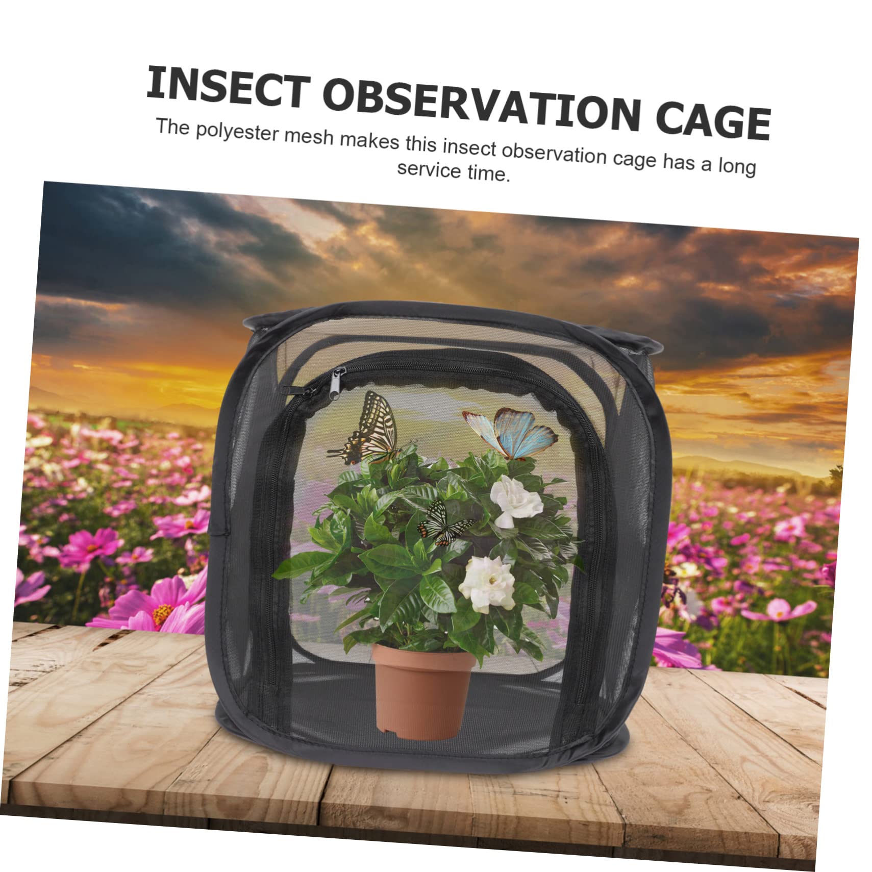 Gabbia Pieghevole Per Farfalle E Insetti - Rete Per Allevamento E Osservazione, Portatile - Foto 2