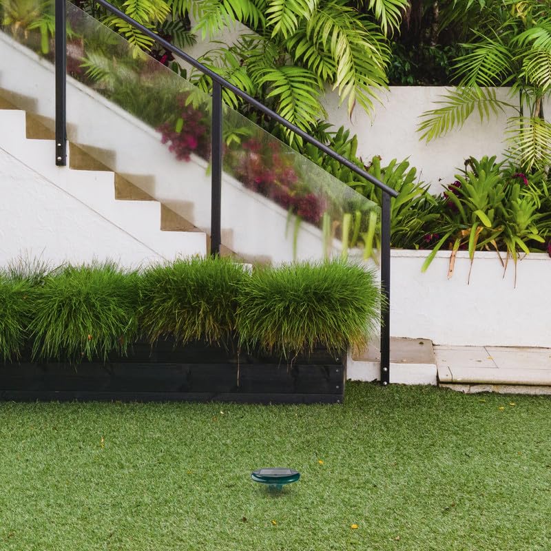 Control De Plagas, Home Improvement Imagen adicional