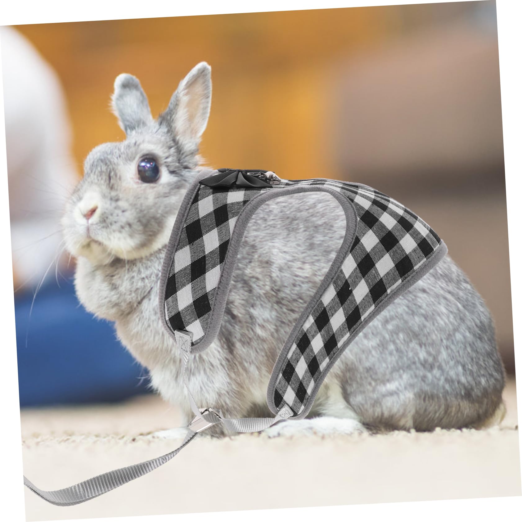 BESPORTBLE 4sätze Haustier Outfit Für Kaninchen Stylisches Und Bequemes Bunny Kostüm Mit Leine Für Partys Und Besondere Anlässe Aus Hautfreundlicher