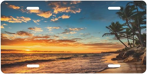 Miniatura 10 de Árbol de la vida - Placa de matrícula colorida abstracta divertida de aluminio para placas delanteras decorativas, impermeables, sin óxido, A: