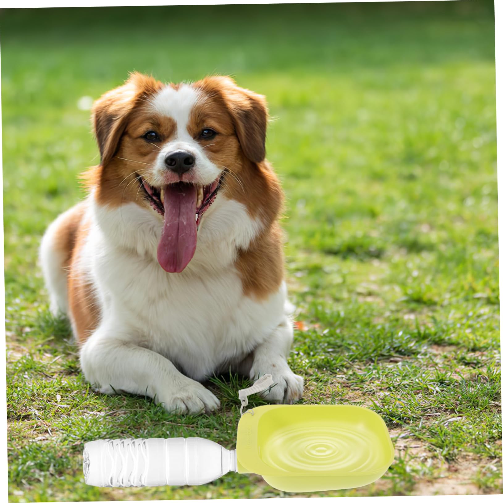 CIYODO 2pcs Travel Dog Water Bottle Bowl Attachment Safe Comfortable Pet Drinking