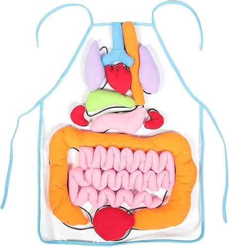 VILLCASE Delantal de órgano 3D, delantal de anatomía, órganos del cuerpo humano, herramienta educativa para el hogar, ayuda de enseñanza preescolar,