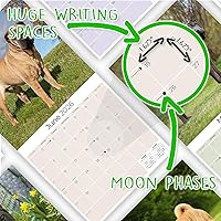 Vista 573 de Razas de Perros 2017