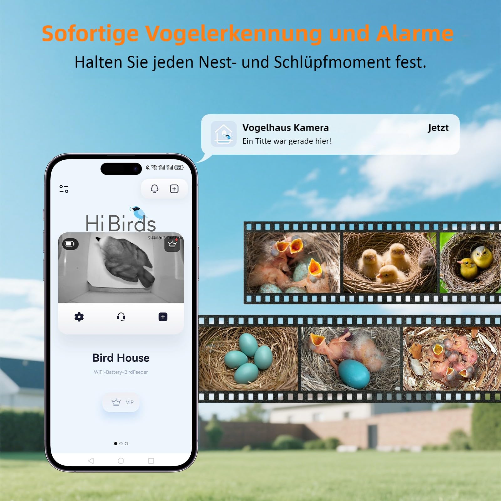 Nistkasten mit 5MP Kamera Solar, Vogelhaus Wetterfest zum Aufhängen, 2,4G WiFi & App Benachrichtigung, Video/Fotoaufnahme & Bewegungserkennung, Beobachten Sie das Nisten und Schlüpfen, Nachtsicht,A