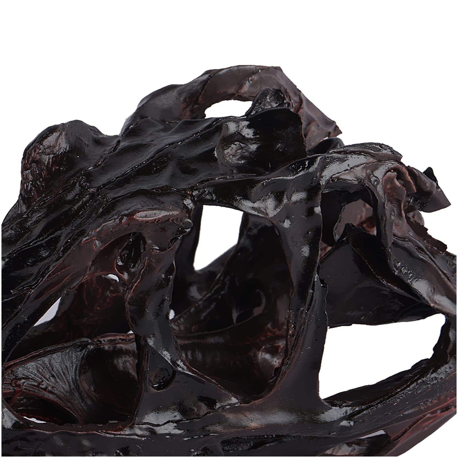 Dinosaurus Skeletten En Andere Fossielen Vector Geïsoleerde Decoratieve