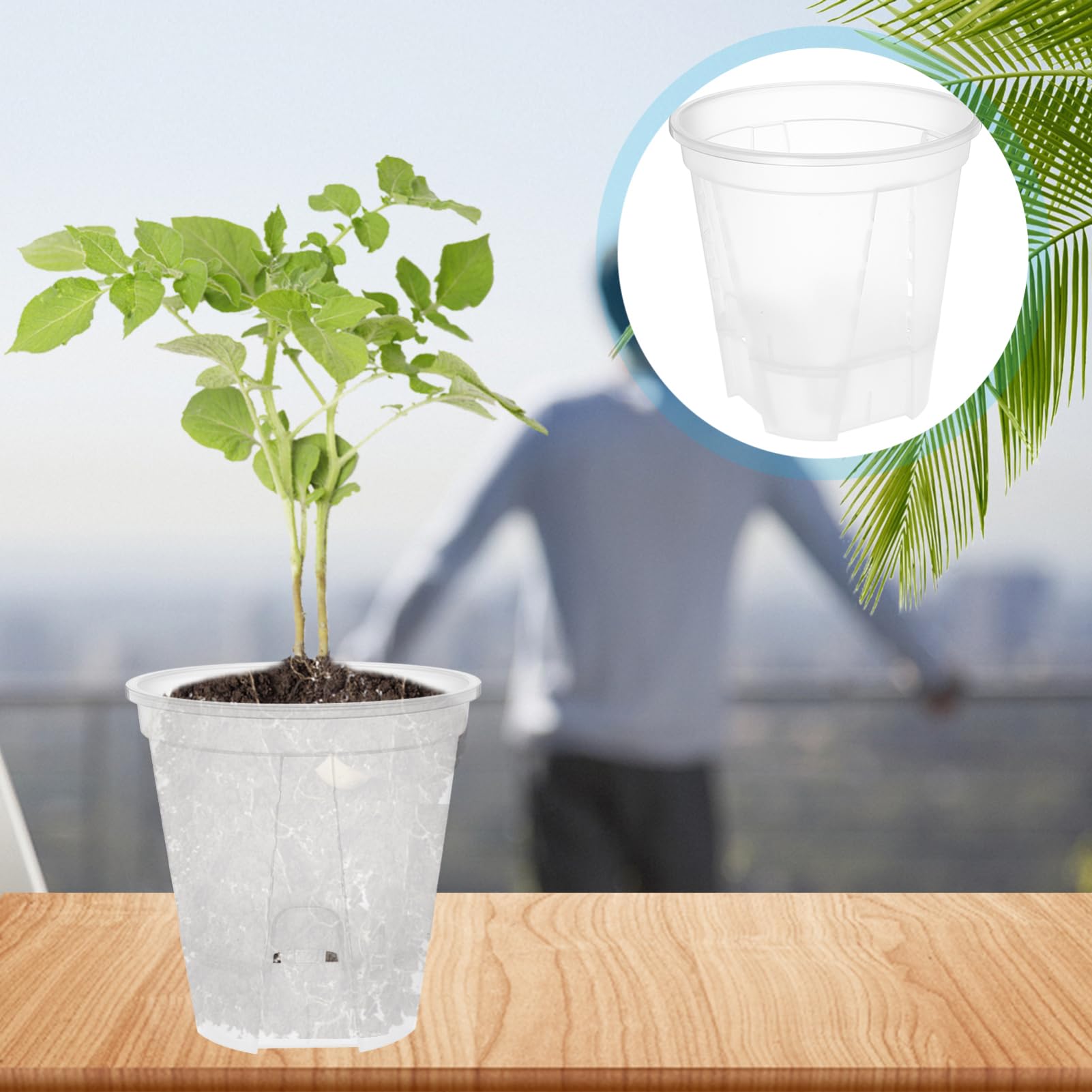 Toyvian 6 Pièces Pots de Fleurs Plastique Transparent Autonome Pots à Drainage pour Plantes Intérieur Respirants pour Orchidées Auto Arrosage pour Intérieurs