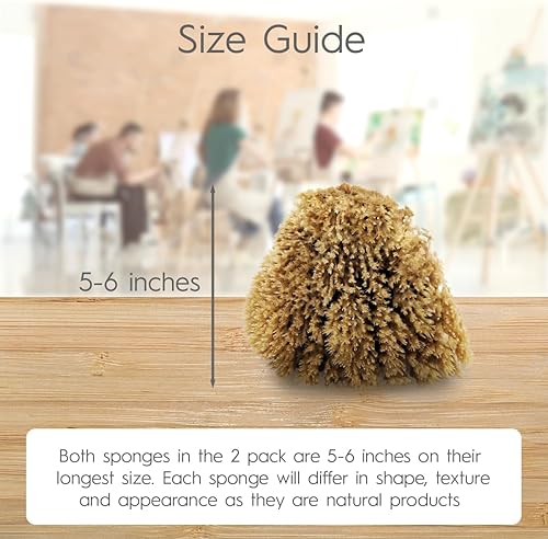 Miniatura 4 de NAROA Natural Artist - Esponjas de mar para pintar, paquete de 2  Herramientas de arte grandes para decoración, mármol, esponja, texturizado y