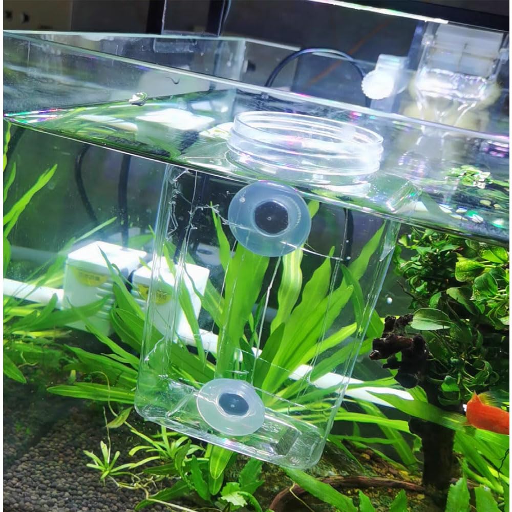 Ventose Per Vetro 45 Mm - 80 Pezzi, Trasparenti E Nere, Per Auto E Casa - Foto 6