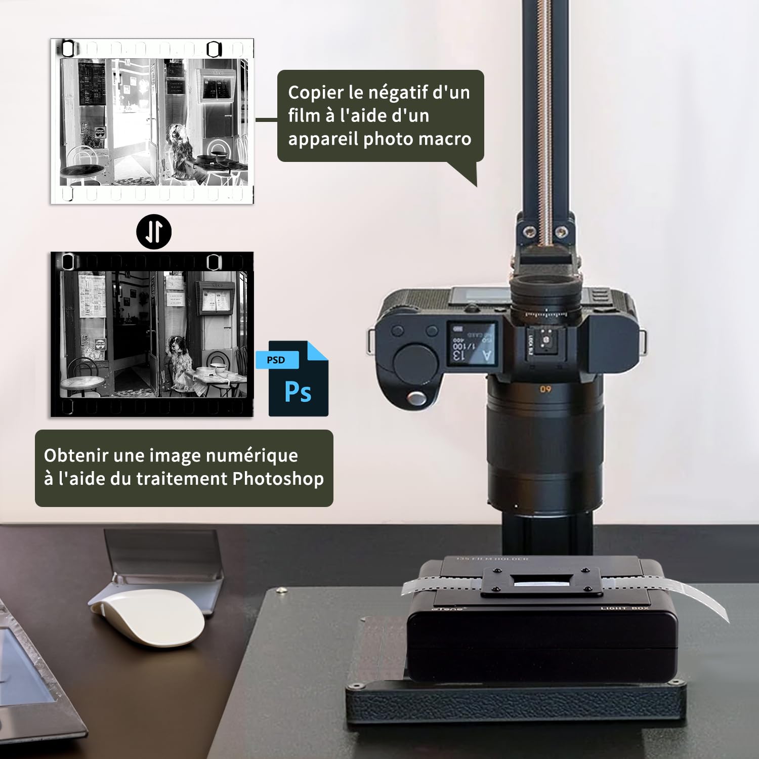 eTone Support de Film 35 mm pour visionneuse de Diapositives et de Films, Scanner négatif (Lightbox Non Inclus)