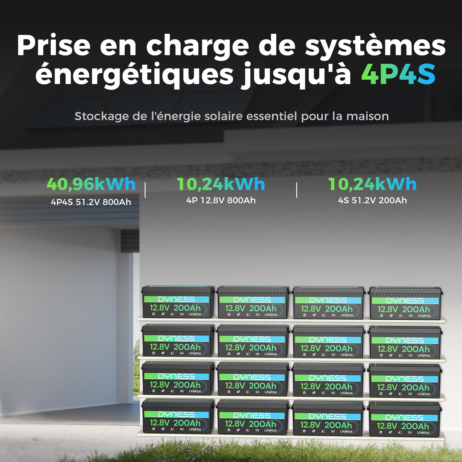 Dyness Batterie Lithium 12V 200Ah LiFePO4 avec BMS 200A intégré et Protection Basse Température, 2560Wh pour Camping-Car/Marin à Décharge Profonde, Solaire, Aventure/Van, Hors-Réseau