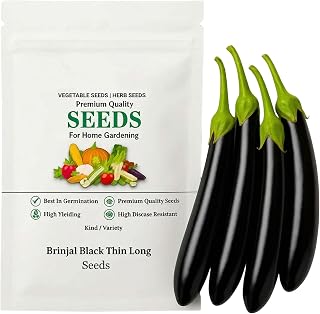 High Yield Black Brinjal Long Eggplant Seeds for Terrace Balcony & Backyard Gardening (1200 Seeds) Price In India