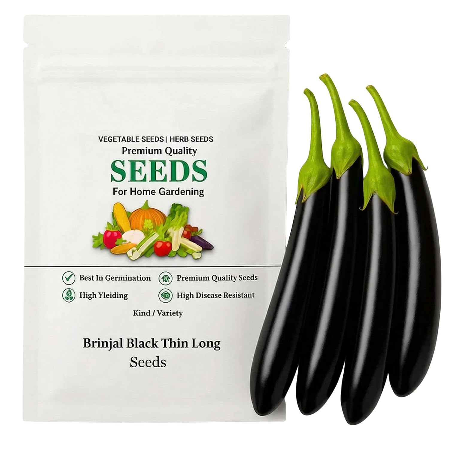 High Yield Black Brinjal Long Eggplant Seeds for Terrace Balcony & Backyard Gardening (1200 Seeds)