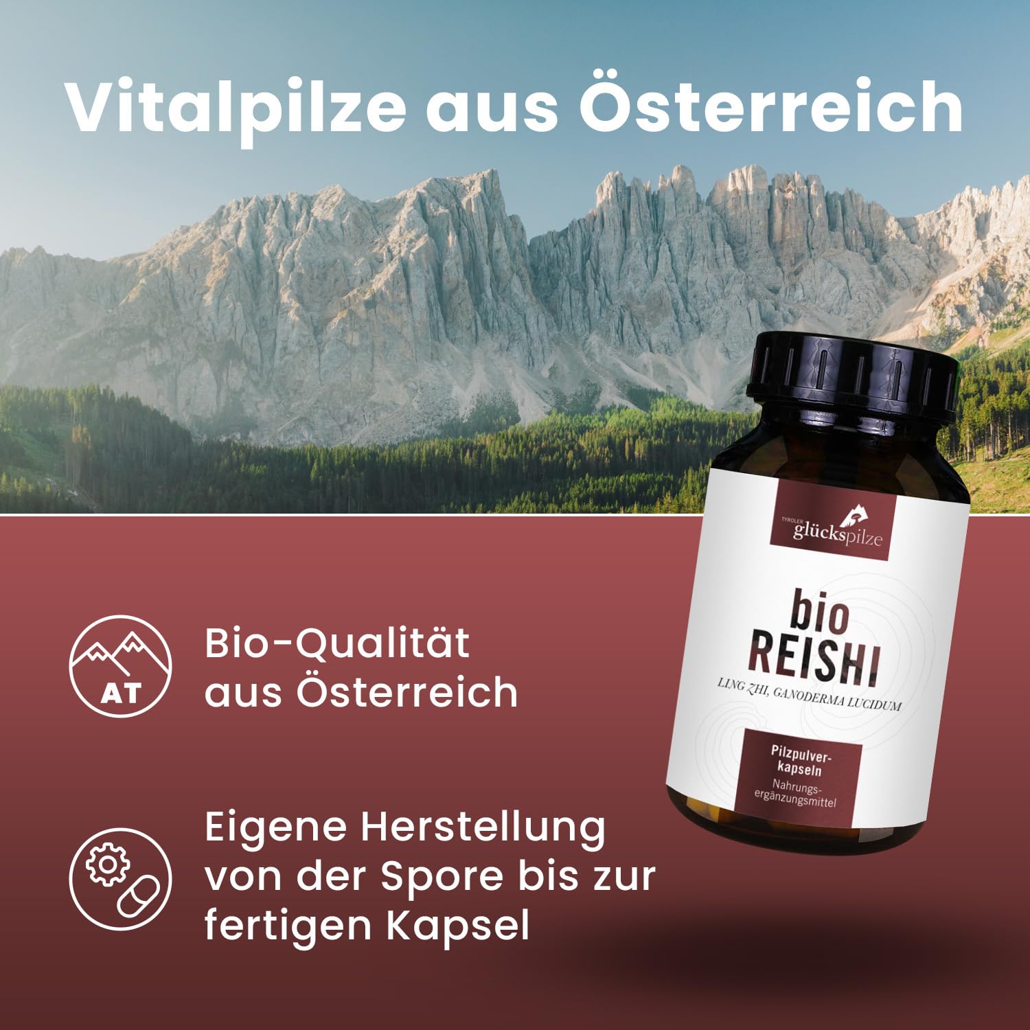 BIO Reishi Kapseln - Reishi Pilz Pulver Kapseln vom ganzen Pilz - Vitalpilz Ganoderma lucidum Pilzpulverkapseln ultrafein vermahlen - AT-BIO-701 Bio-Zucht in Österreich - 120 Stk