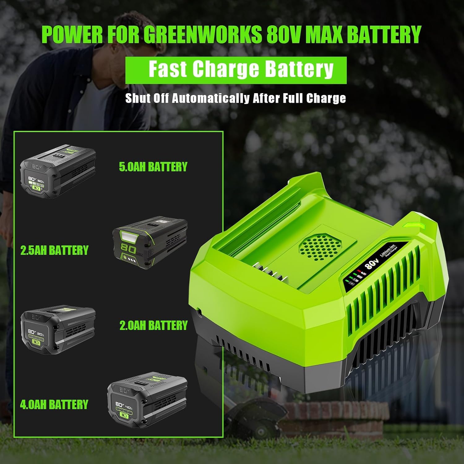 Greenworks 80V - Cargador (Corriente Alterna, 4,2 A, 0,75 H, 1,25 H, 1,6Kg, Negro, Verde)