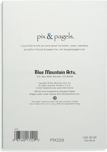 Miniatura 12 de Blue Mountain Arts Surtido de tarjetas de condolencia: 2 tarjetas de felicitación únicas con palabras de comodidad para enviar tus condolencias más