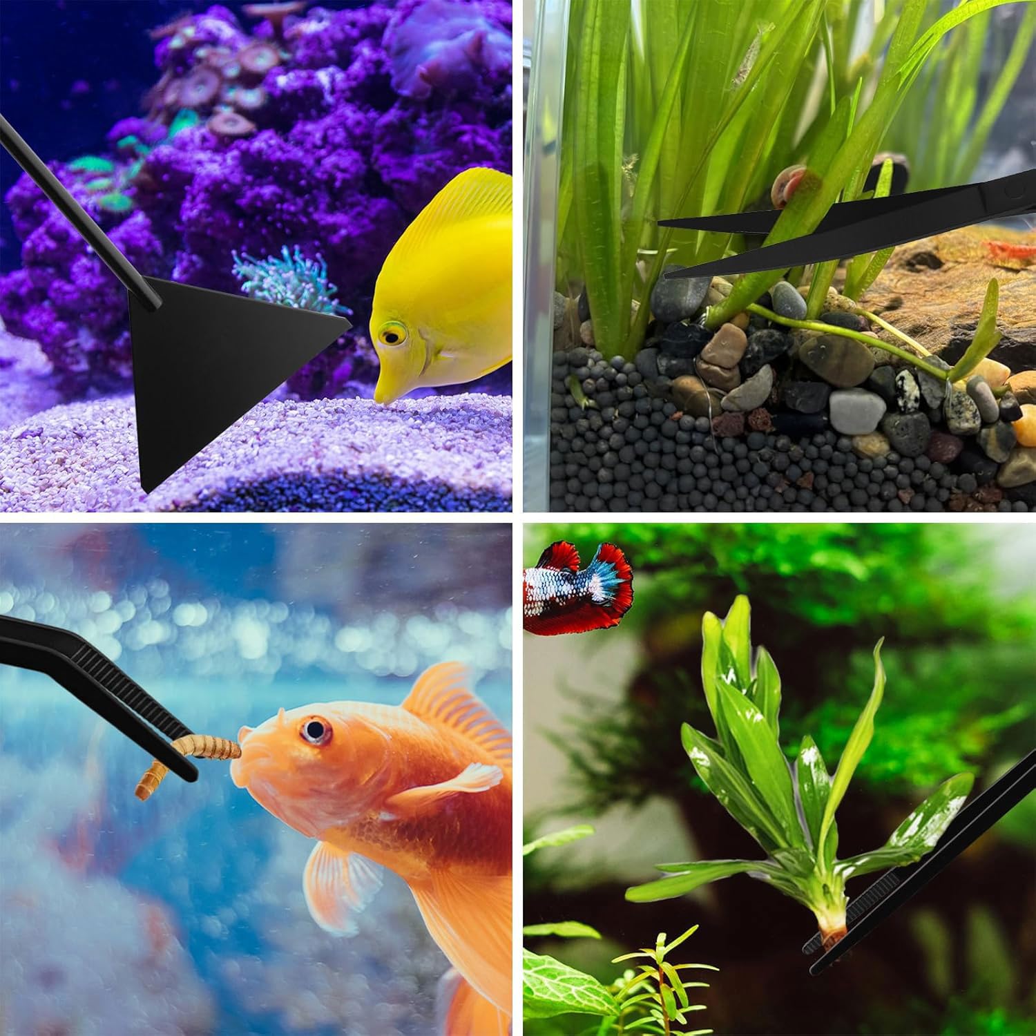 4PCS Accessori Acquario,Forbici Acquario Pinzette,Pinza Aquascaping Kit,Acquatica Strumenti Set,Acciaio Inox Pinzette Forbici e Spatola per Landscaping e Piante Acquatiche