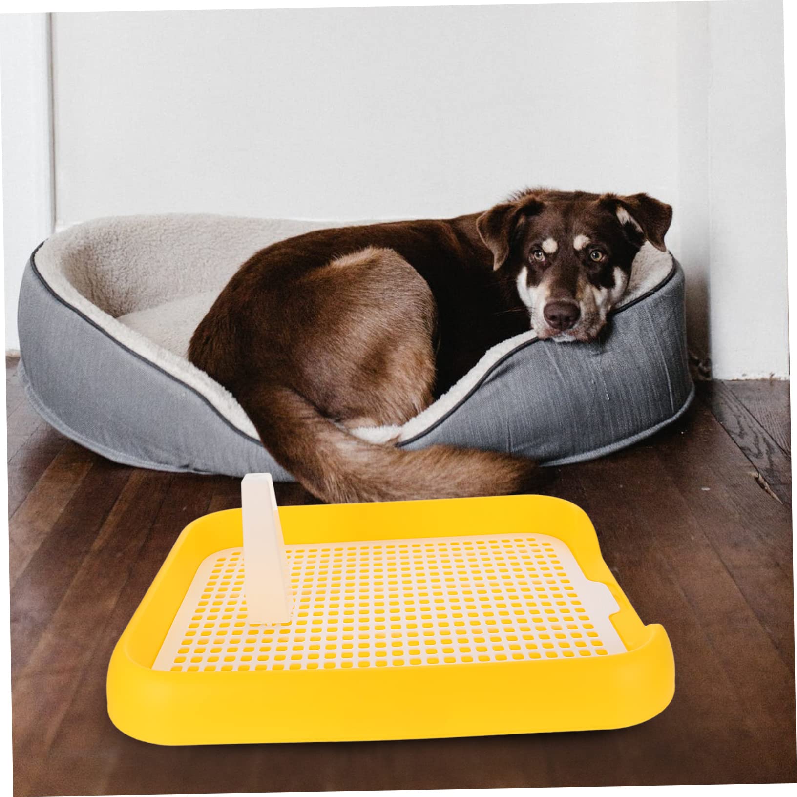 FONDOTIN Small Dog Potty Training Aid Puppy Pee Station Mesh Plastic -Slip for Indoor Use