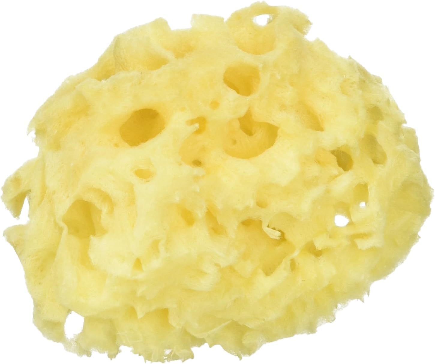 ピジョン 天然カイメン お風呂用 1個 X 1 ベビースポンジ ベビー マタニティ 通販 Amazon ピジョン 天然カイメン お風呂用 1個 X 1 ベビースポンジ ベビー マタニティ 通販 Amazon