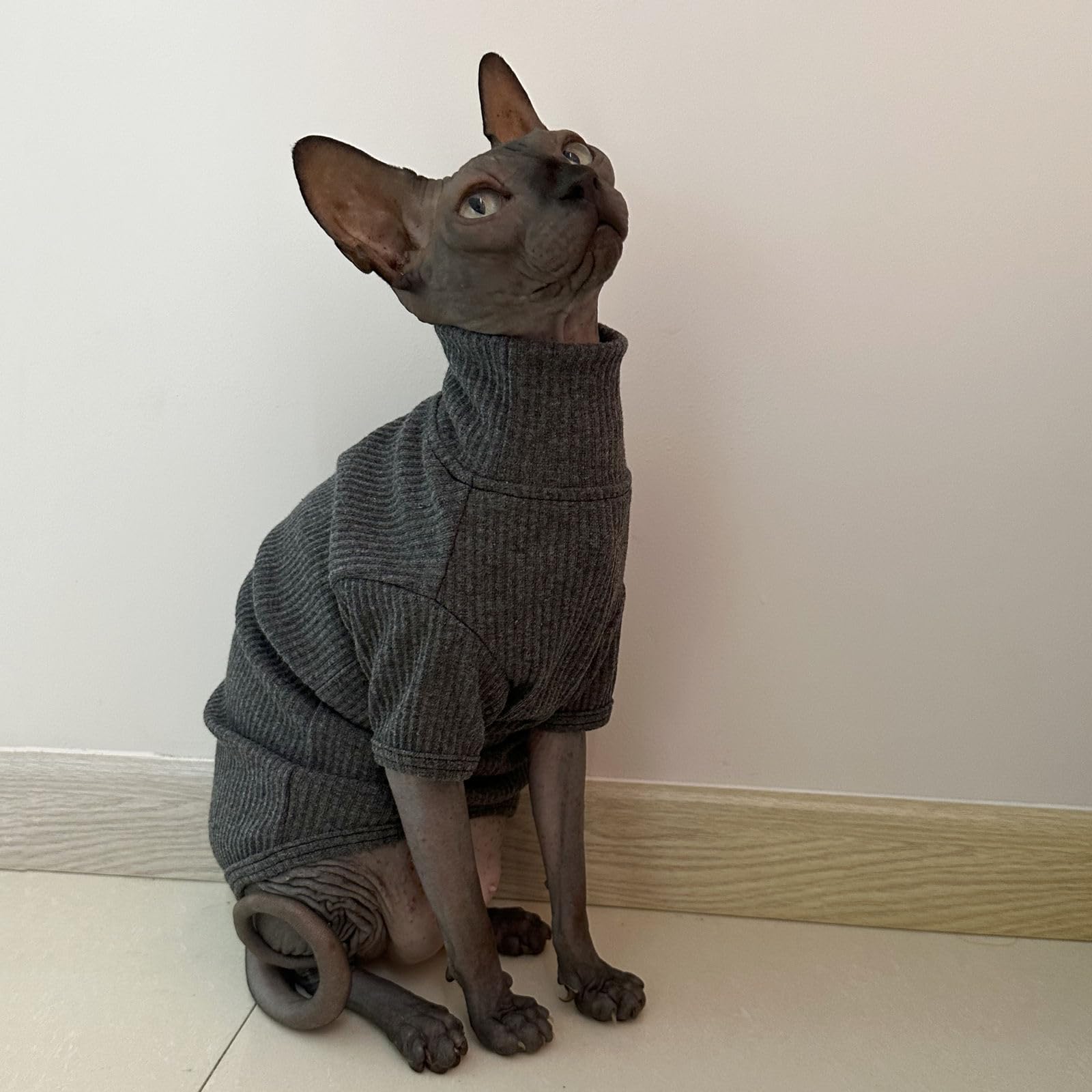 Kitipcoo Sweater for Sphynx Cat, X-Large, Deep Grey (Cotton