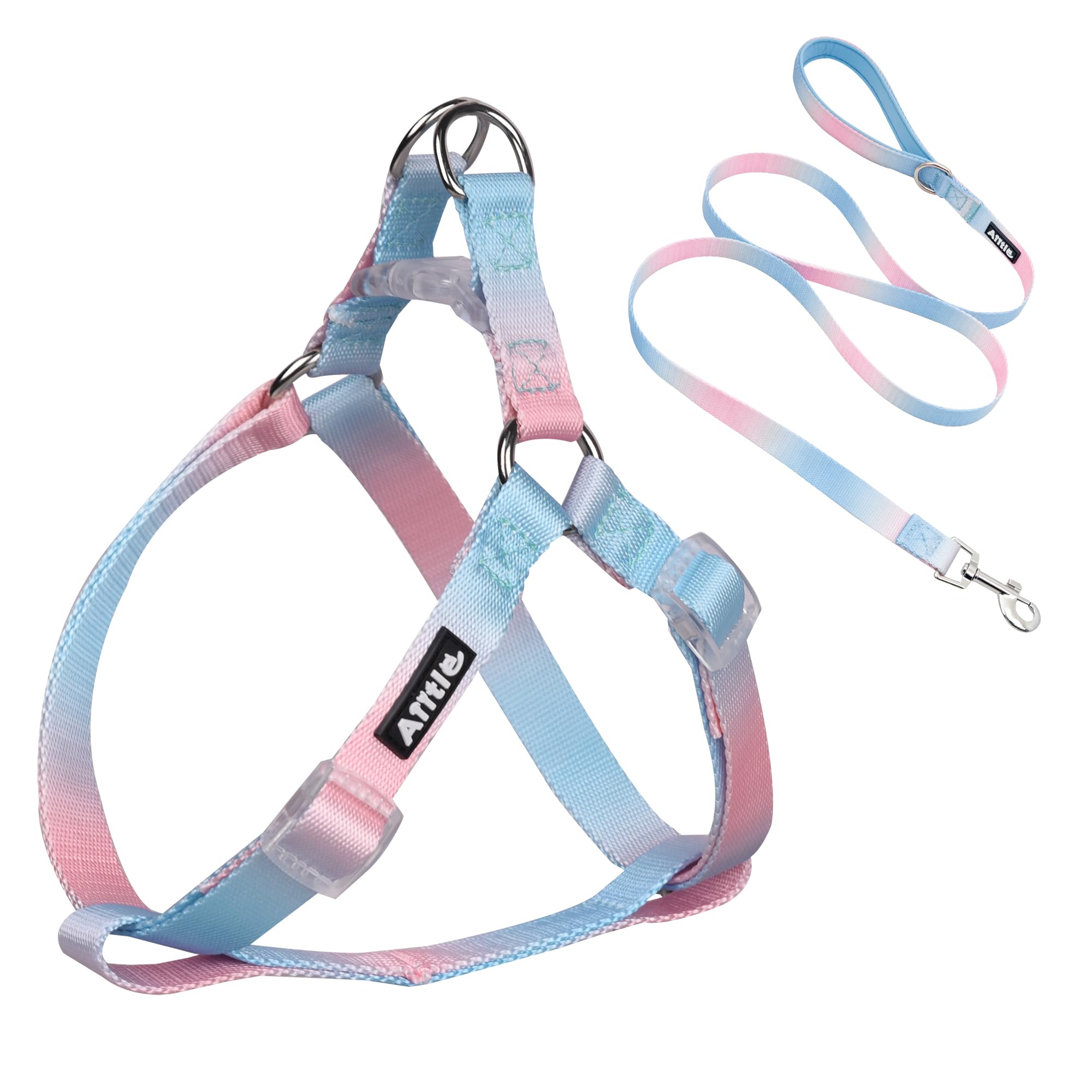 AIITLE Dog Harness and Leash Set - No Pull Pet Harness Soft Adjustable Nylon Step in Puppy Vest Outdoor Walking - Transparent Buckle - Training Running for Extra Small Dogs,Blue-Pink Gradient XS