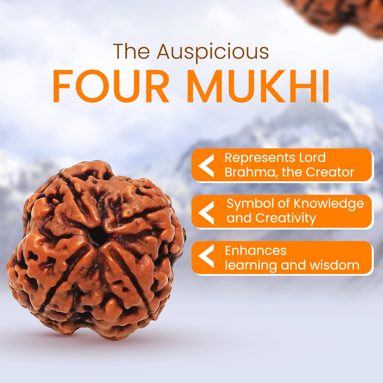 PUSHKARA NATURAL 4 MUKHI RUDRAKSHA CERTIFIED - NEPAL | BROWN | PJTL4M01 - ASTROLOGICAL BENEFITS - UNISEX PENDANTS - POSITIVE ENERGY FOR MEN & WOMEN 2