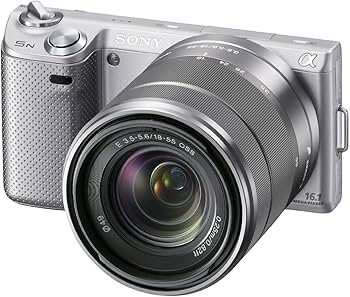 Amazon.com : Sony NEX-5N 16.1 MP Compact Interchangeable Lens