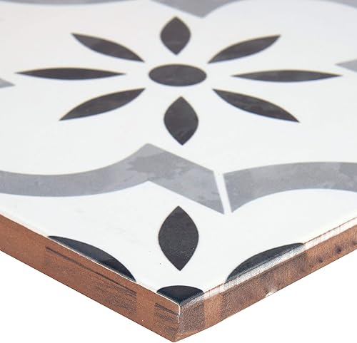 Miniatura 5 de MSI Azila - Azulejo de pared de porcelana mate encáustica de 8 pulgadas x 8 pulgadas para baño, baldosas de piso, salpicaduras de cocina y azulejos