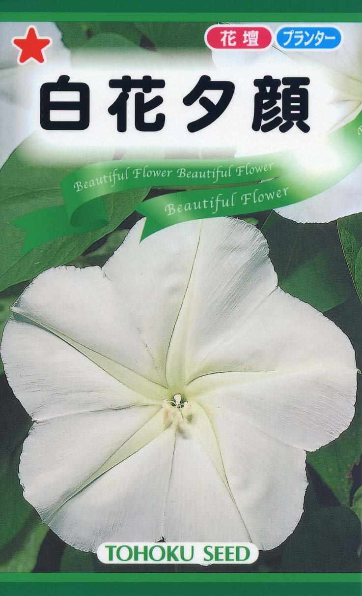 Amazon | 株式会社トーホク 白花夕顔 00744 | 野菜