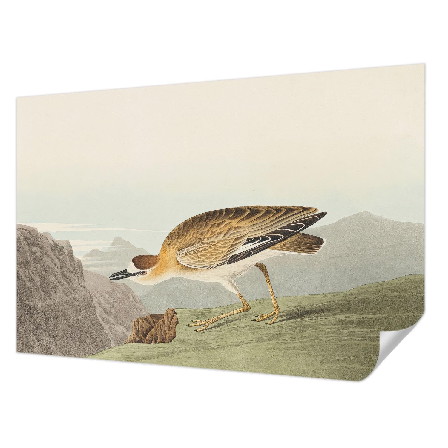 Papier peint oiseau de montagne adhésif Tulup pour créer un salon moderne et chaleureux