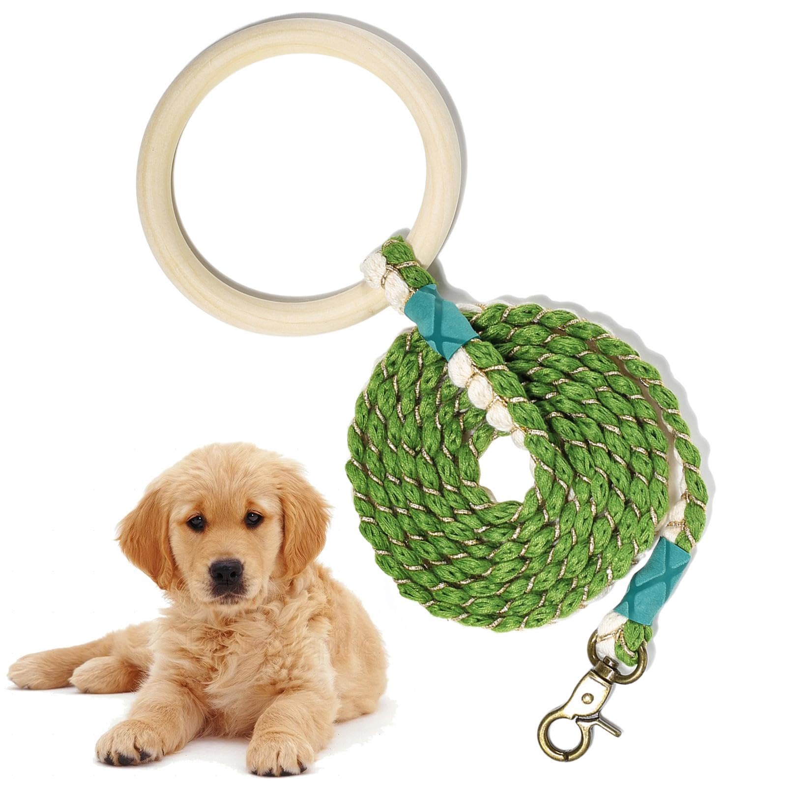 hundekissen günstig Hundekissen – waschbar, groß & bequem