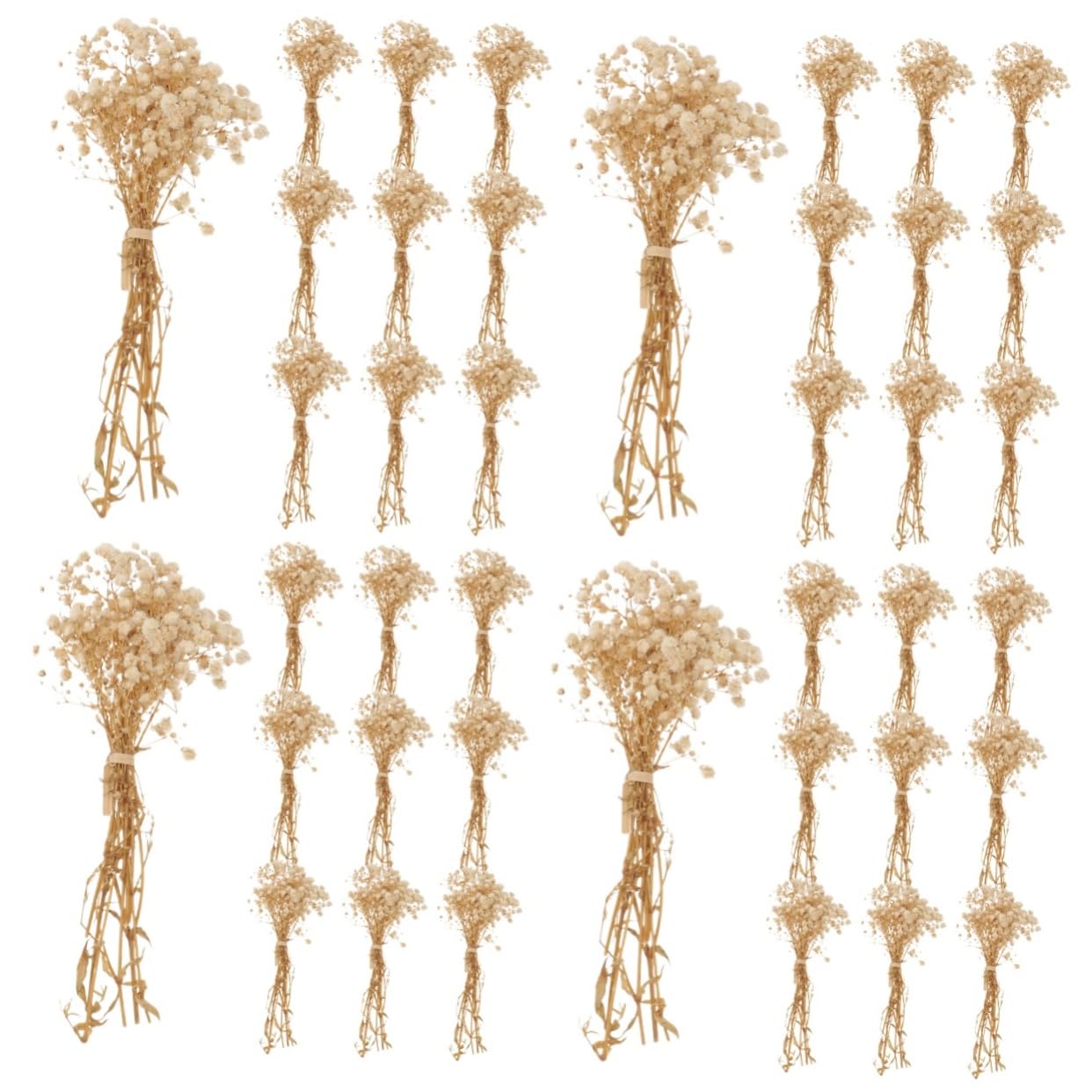 MAGICLULU 4 Pièces 10 Petit Bouquet de gypsophile bouda Decoration Interieure Fleur sechees Fleurs séchées pour l'artisanat Bouquet de Fleurs séchées Fausse gypsophile pour Vase Beige