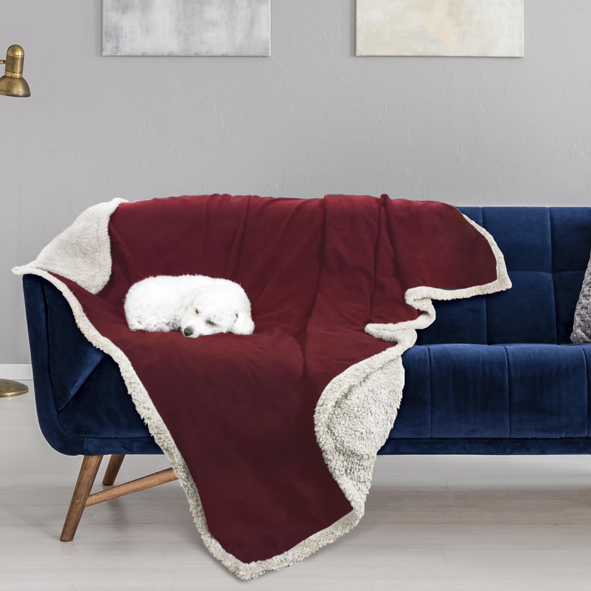 Kritter Planet Wasserdicht Hundedecke, Hundedecke für Unterwegs, Sofaschutz Hund, Waschbar Kuscheldecke, Tagesdecke für Sofa Autositz Couch Bett, XL 150x200cm Große Decke, Wein/Taupe