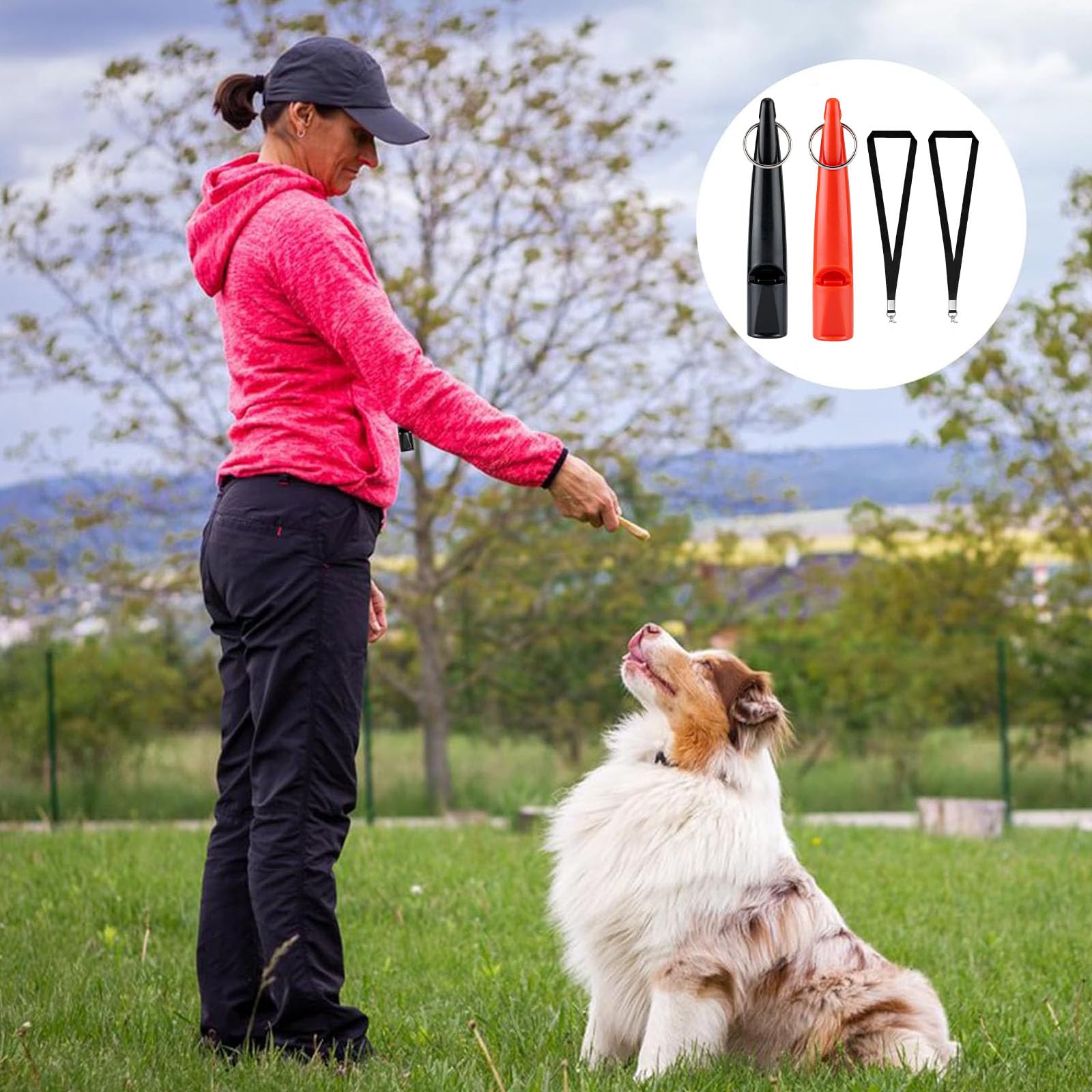 2 Pcs Sifflet pour Chien, Sifflet Anti Aboiement Chien, Sifflet pour Chien Professionnel Sifflet, Sifflet à ultrasons Professionnel pour l'entraînement et Le contrôle des aboiements