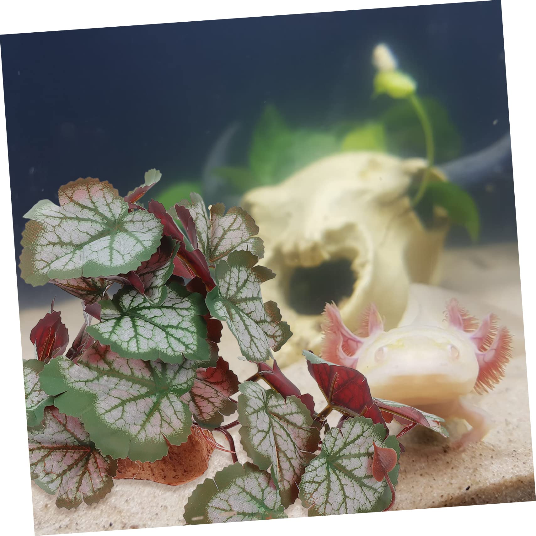 Decorazioni Acquario E Terrario - Piante Finte E Rami In Resina Per Rettili E Tartarughe - Foto 11