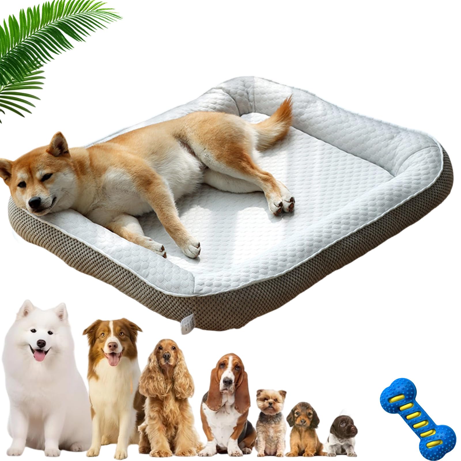 Premium Kühlkörbchen für den Sommer – Kühlendes Hundebett selbstkühlend mit 3D-Mesh-kühlmatte, Atmungsaktiv, Waschbar & Rutschfester, Weichhe Hundebetten für Hunde & Katzen (Grau,L-65 * 55CM)