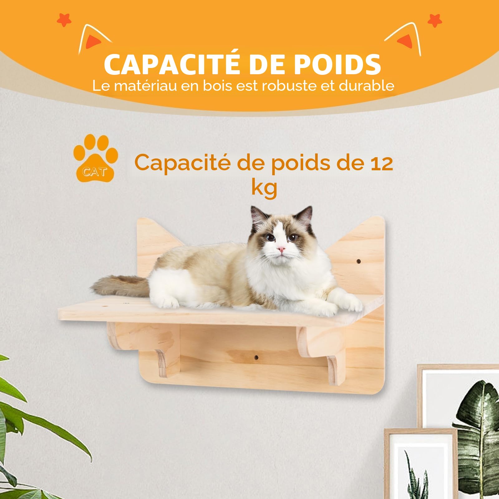 Étagères murales pour Chats, Ensemble de Meubles muraux, perchoirs et étagères d’Escalade pour Maison intérieure à Fixation Murale