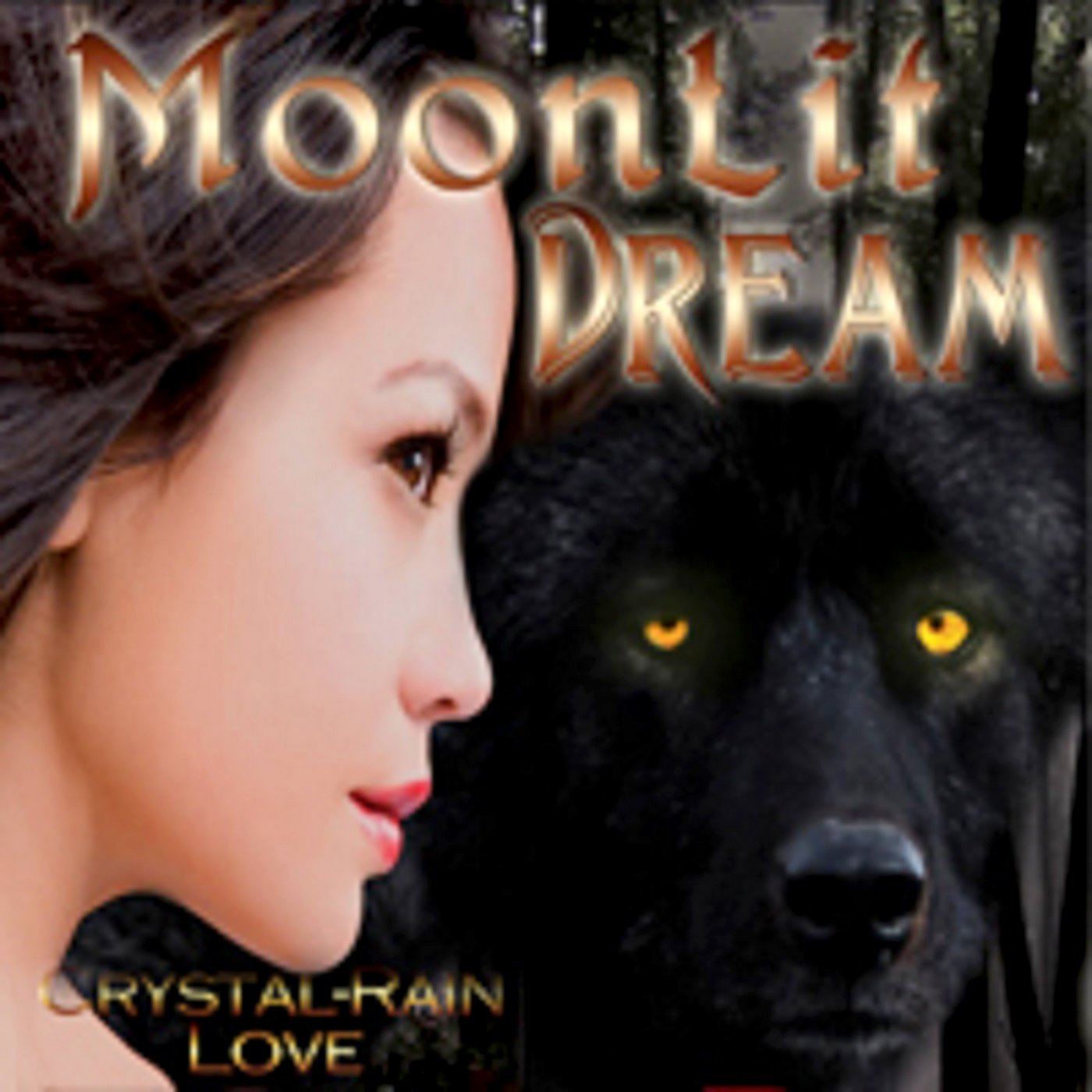 Cover art for Moonlit Dream