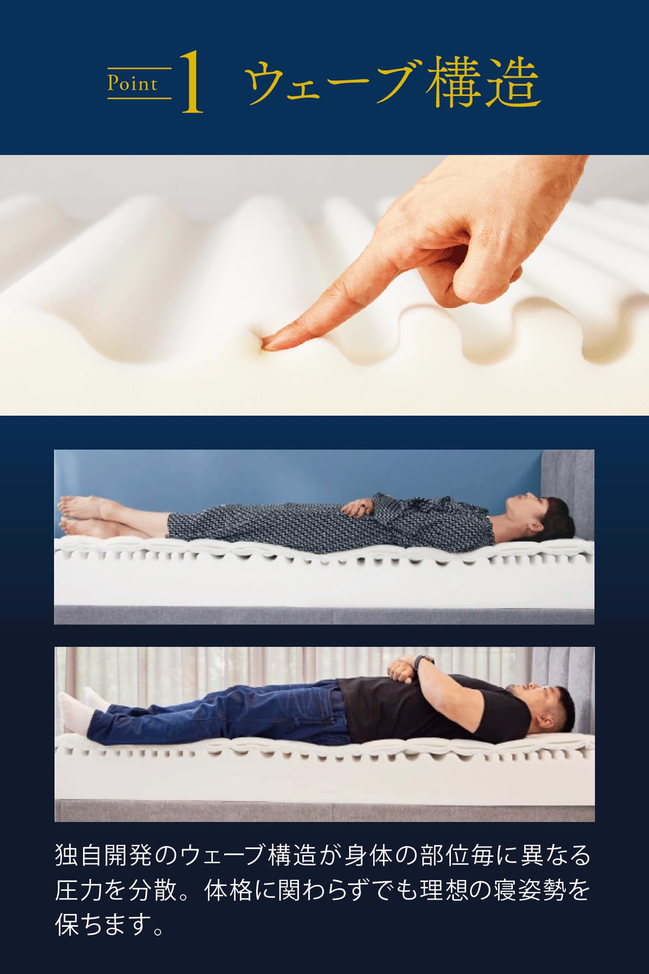 Amazon.co.jp: マニフレックス エコサンドロ 日本上陸30年 特別記念