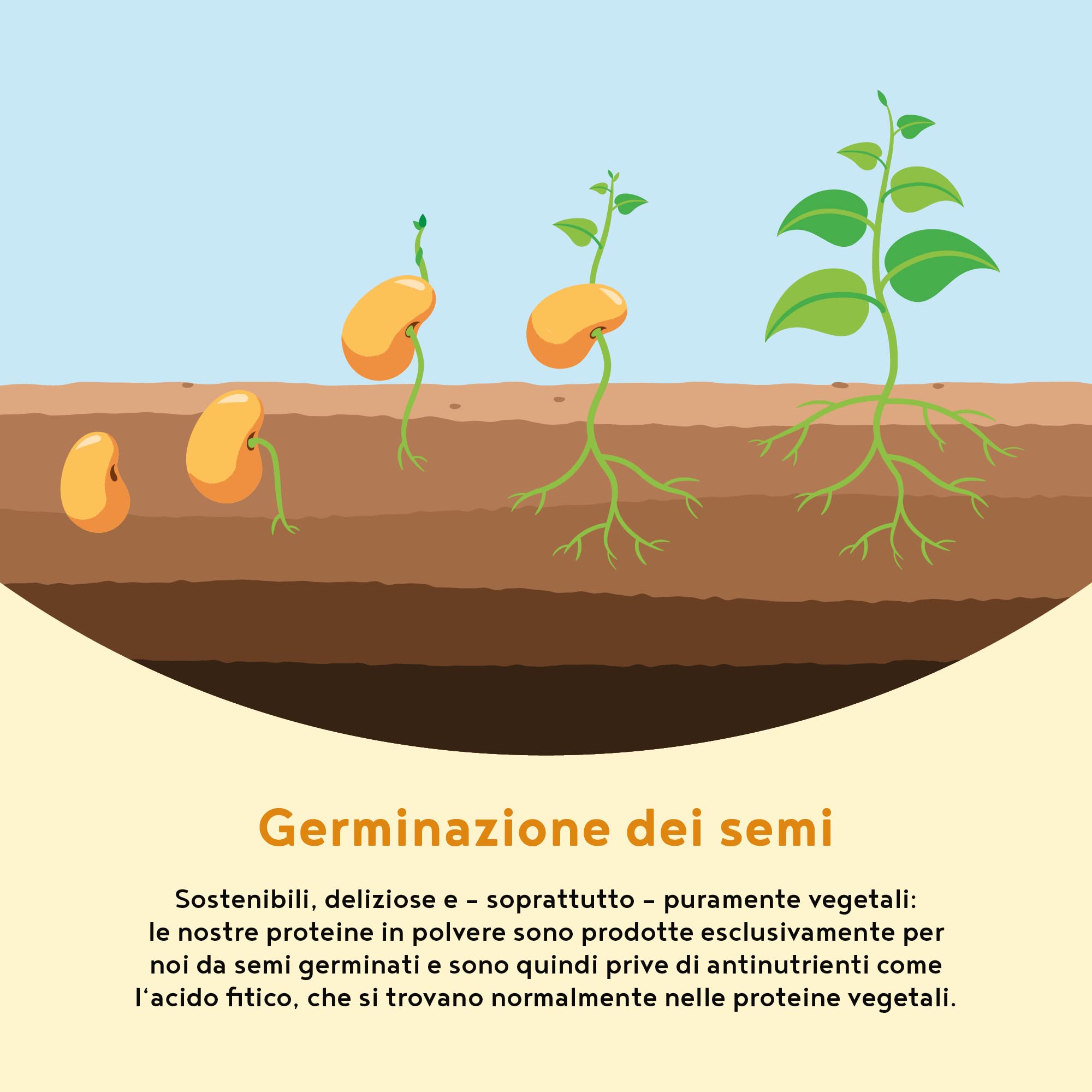 Proteine in Polvere Vegane | Gusto Vaniglia | 22g Proteine | Proteine Vegetali Isolate in Polvere di Pisello, Riso, Girasole e Soia | Massa Muscolare | 1200g Vegan Protein Powder | Alpha Foods