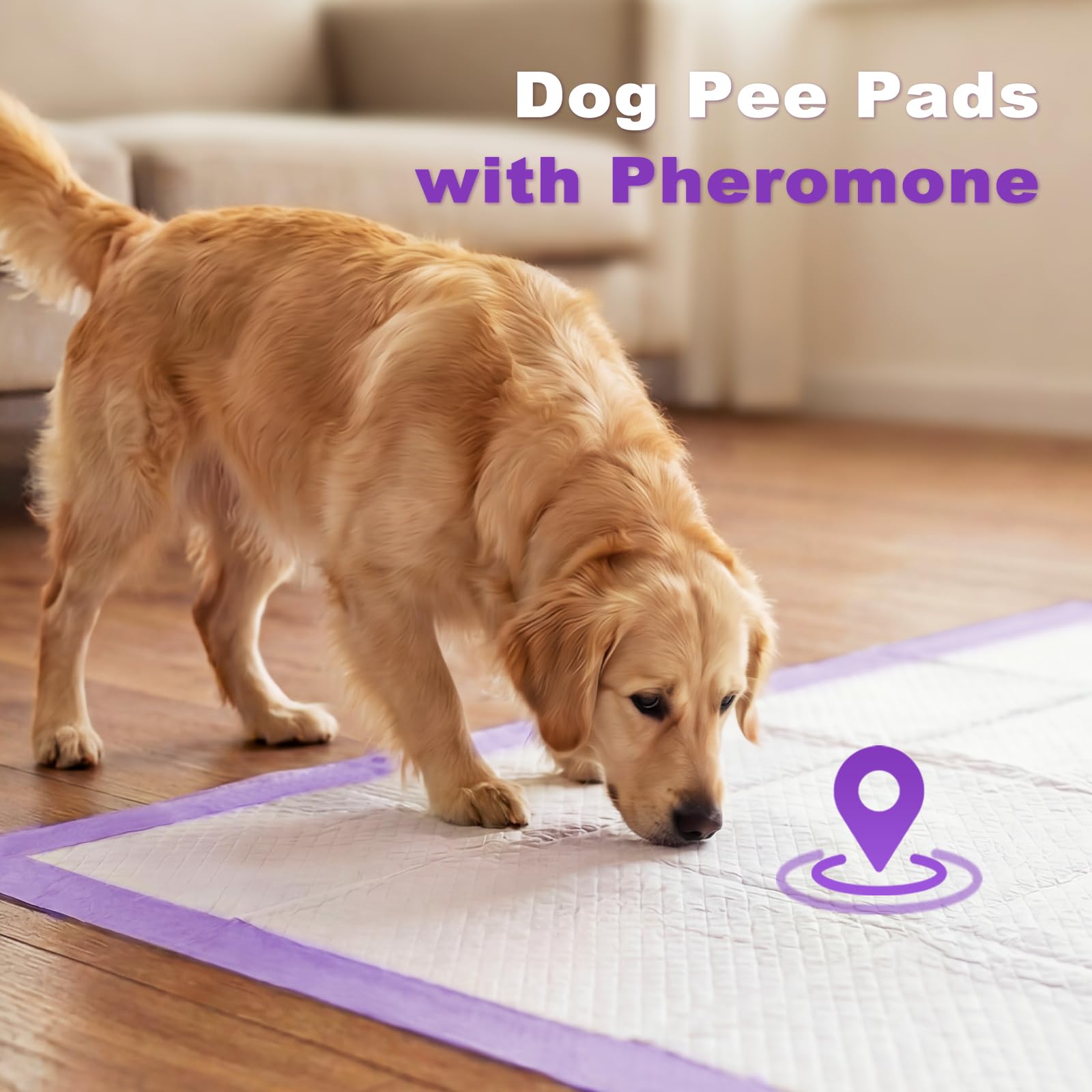 MIZOK Almohadillas para orina de perro, extra grandes, de 30 x 36 pulgadas, almohadillas para orina para perros, con aroma a lavanda, almohadillas para control de olores, ultra absorbentes, para hasta