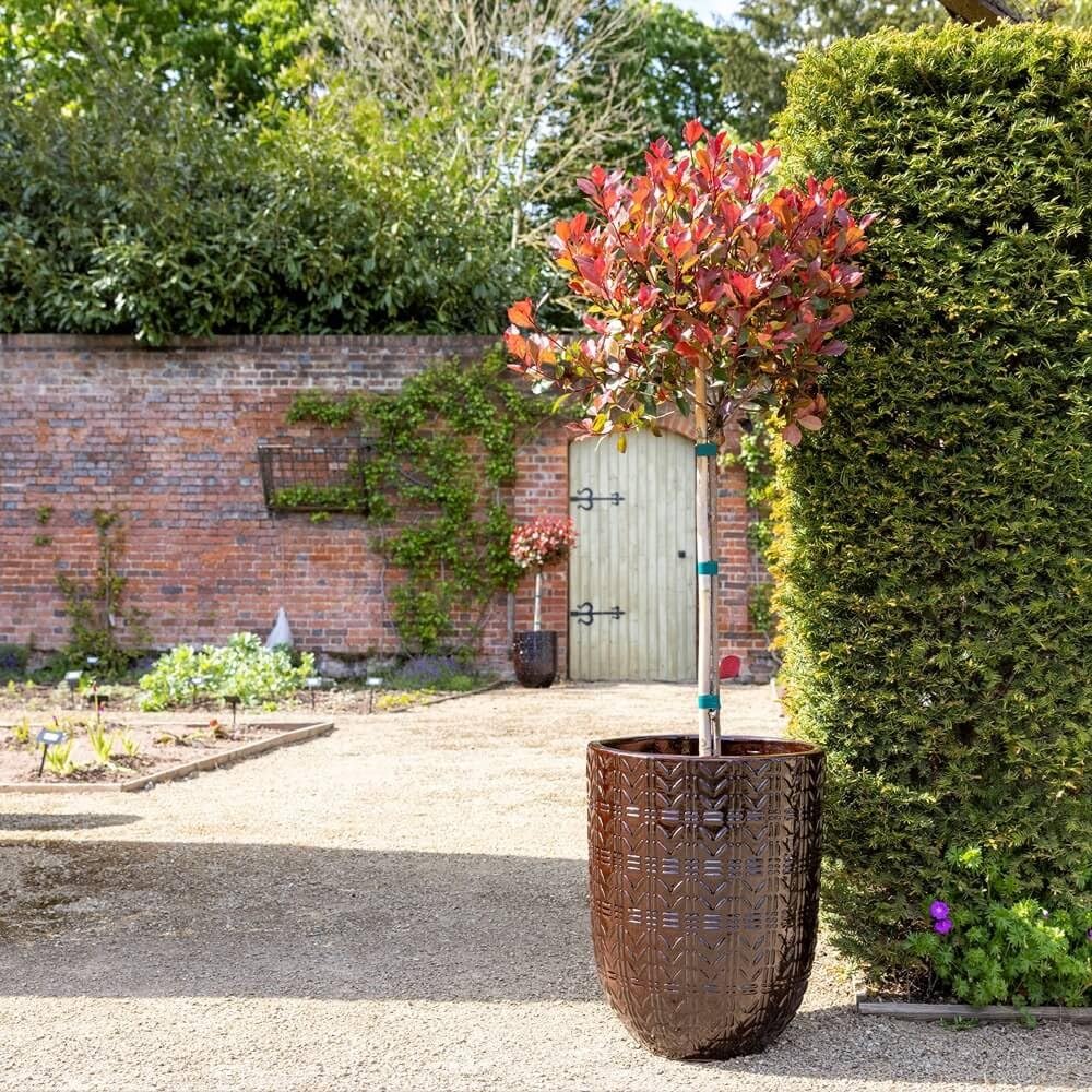 Primrose Coffee H50cm Glazed Terracotta Planter In Garden Patio Flower Pot