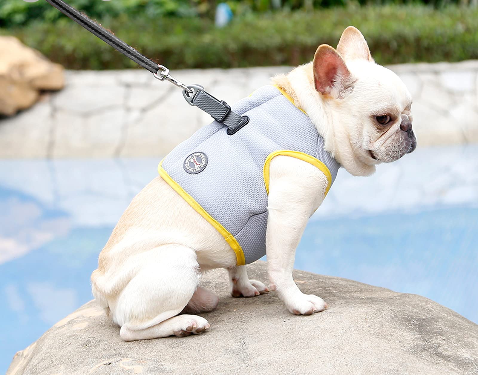 Hund Kühlgeschirr Sommer Mesh Verstellbar Hund Kühlweste Jacke Outdoor Sonnenfest Haustier Mäntel für Kleine Mittlere Große Hunde (M)